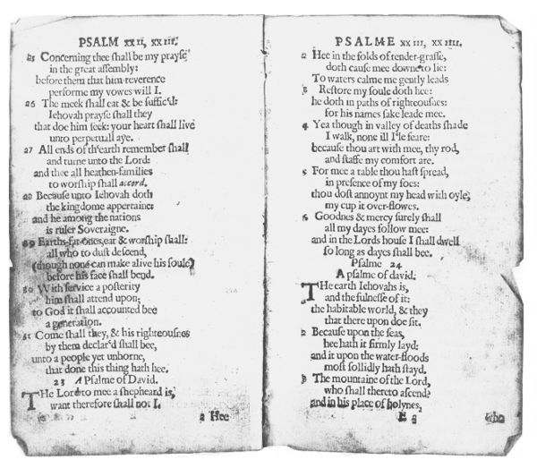 Bay Psalm Book