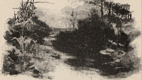 River scene