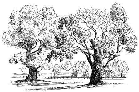 BOSCOBEL OAKS, 1804.

Page 27.

