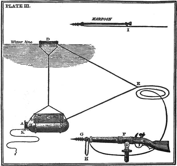 PLATE III.