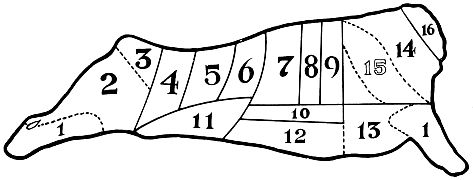 diagram of side of beef