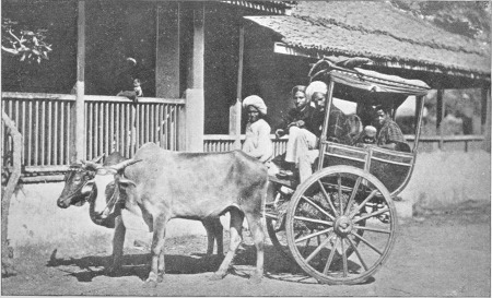 Bullock Cart