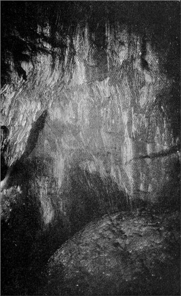 STALACTITES IN ENTRANCE GALLERY, LAMB'S LAIR.