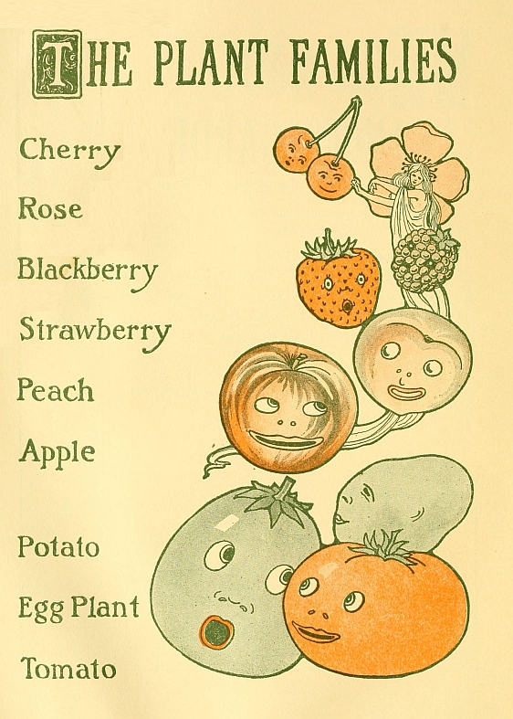 The Plant Families