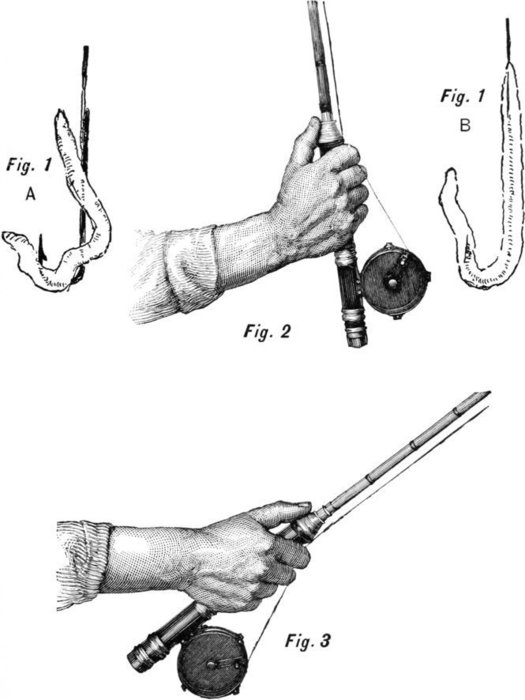 Fig. 1 A, Fig. 1 B, Fig. 2, Fig. 3