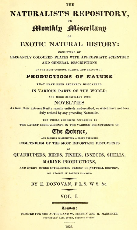 title page