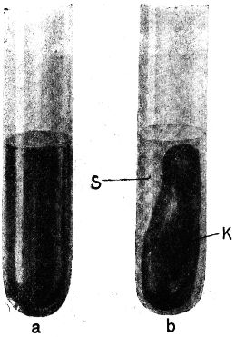 Abb. 14