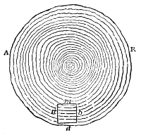 Fig. 14.