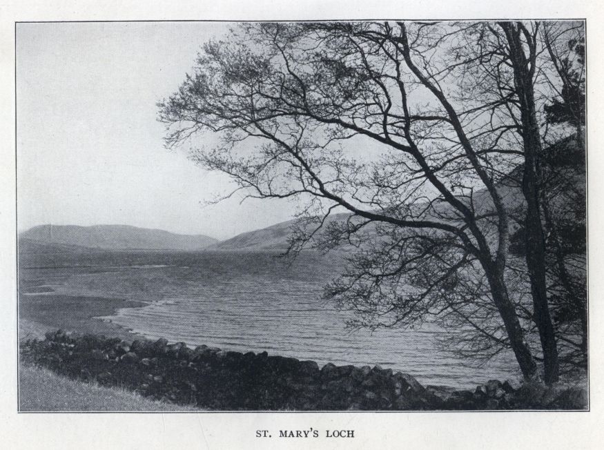 ST. MARY'S LOCH