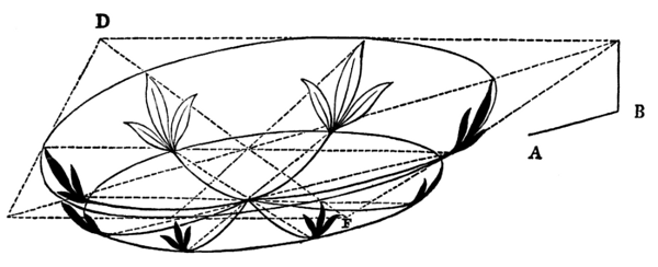 [Geometric diagram]