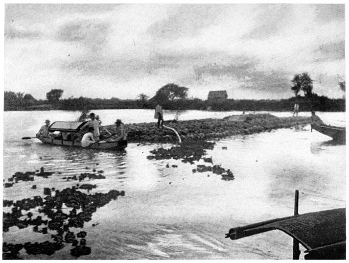 Cocoanut Rafts on the Pasig, Drifting down to Manila.