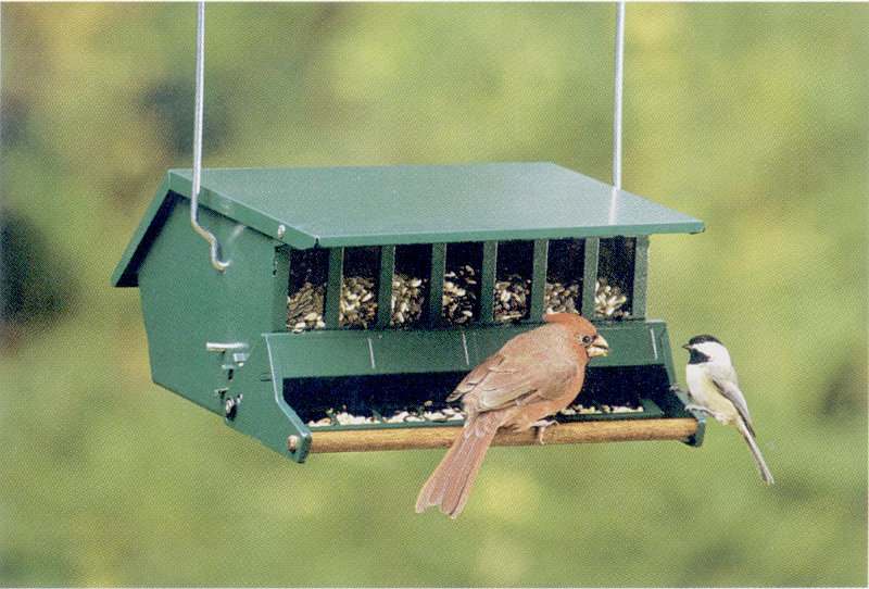 Squirrel-resistant feeder