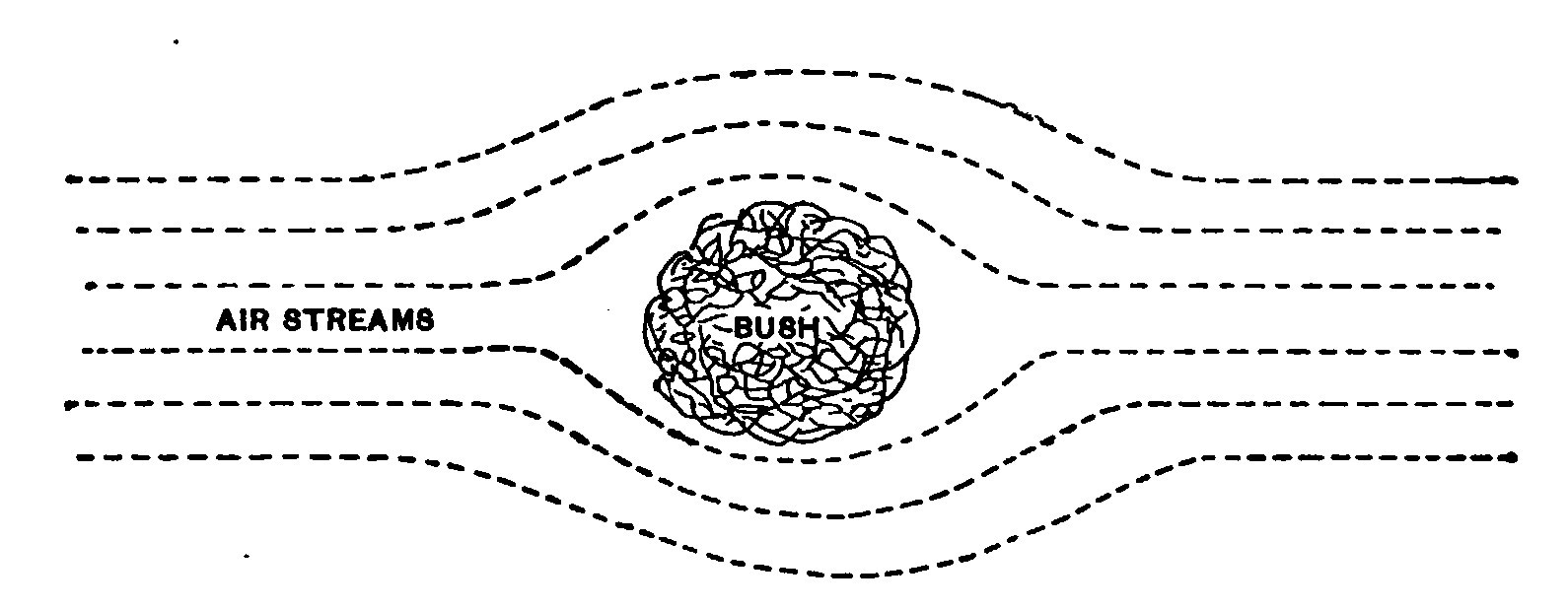 Fig. 26.—Top view, showing how streams of air divide.