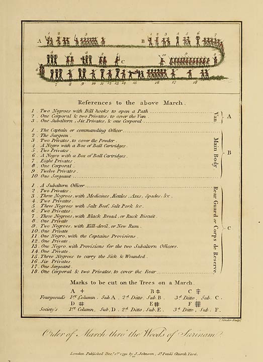 Order of March thro’ the Woods of Surinam.