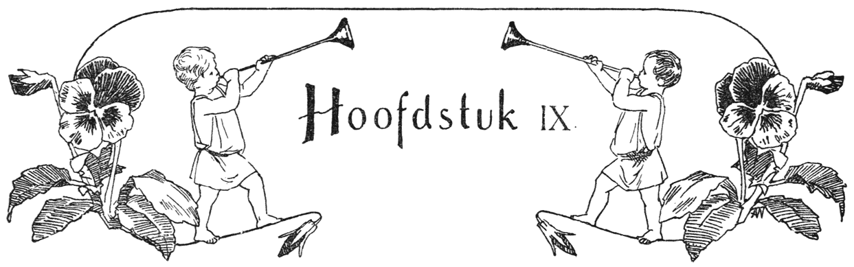 Hoofdstuk IX.