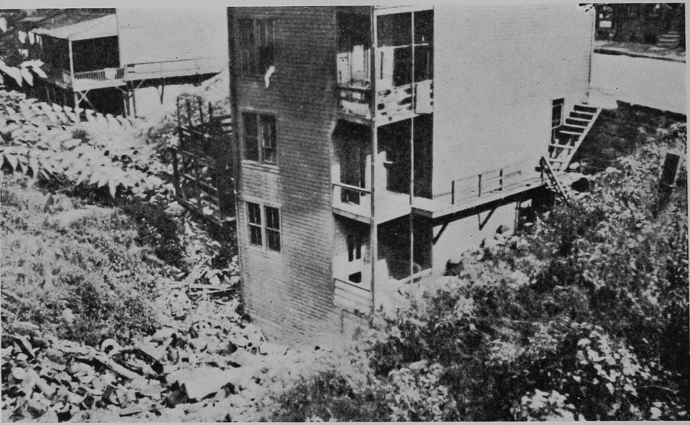 Rear View of Tenement Near Soho Dump. Note Refuse on
Left and Street Level on Right.