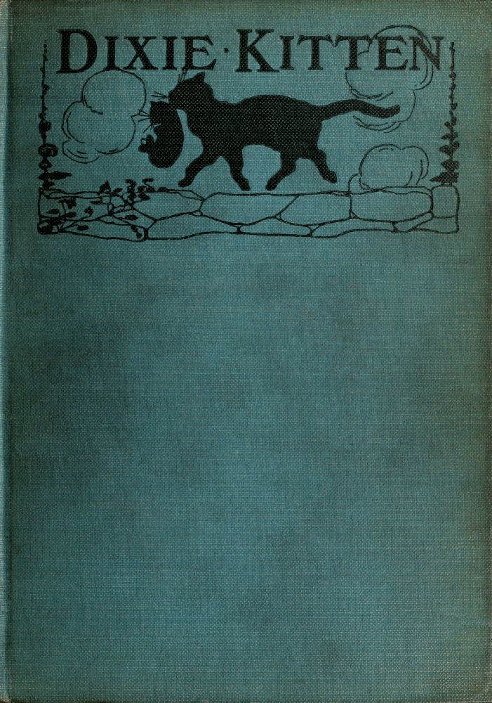 Front cover of the book