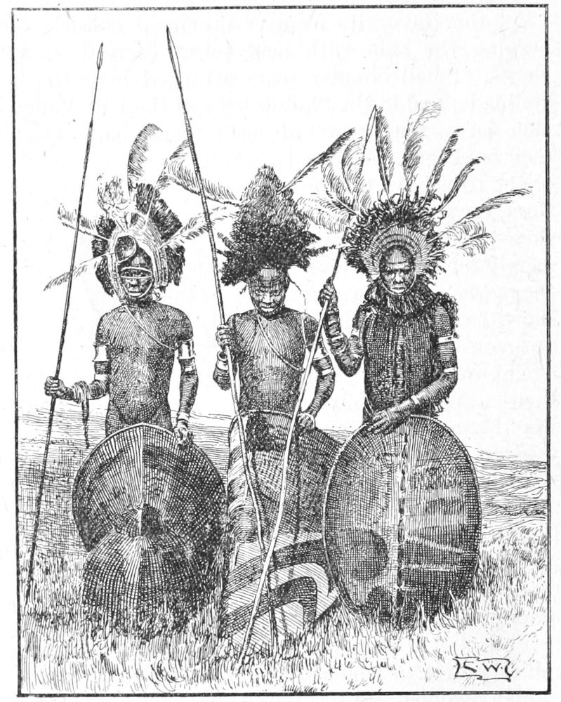 Warriors of the Kavirondo Tribe in Feather
Head-Dresses