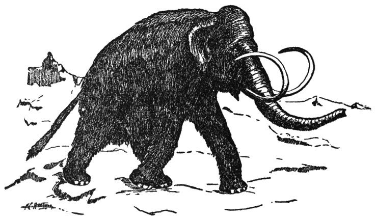 Mammoth