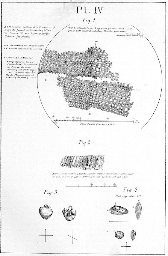 Pl. IV _Fig. 1._ _Fig. 2._ _Fig. 3._ _Fig. 4._