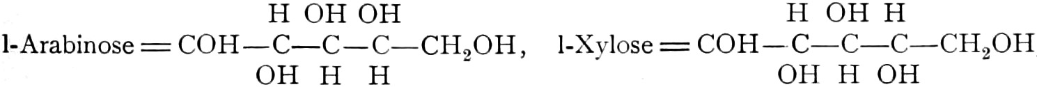 l-Arabinose und l-Xylose