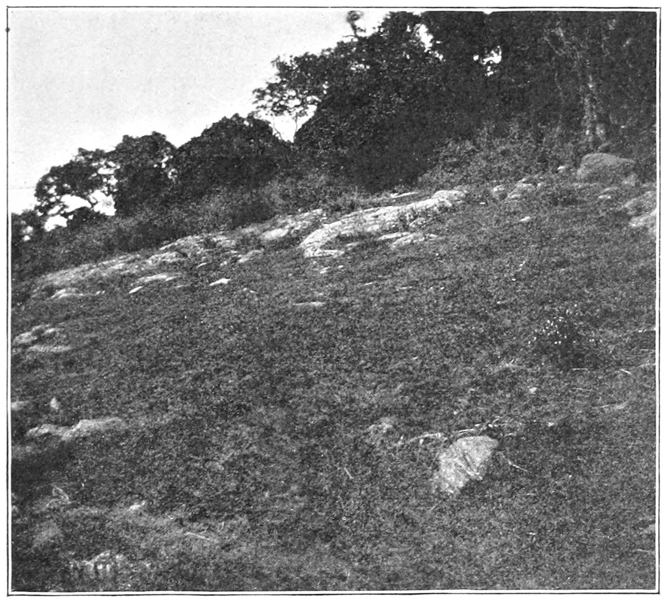 FIG. 71.—THE STONES AT PISHKWOSHT CALLED ‘TEUAR.’