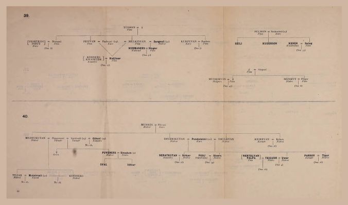 Genealogical Table