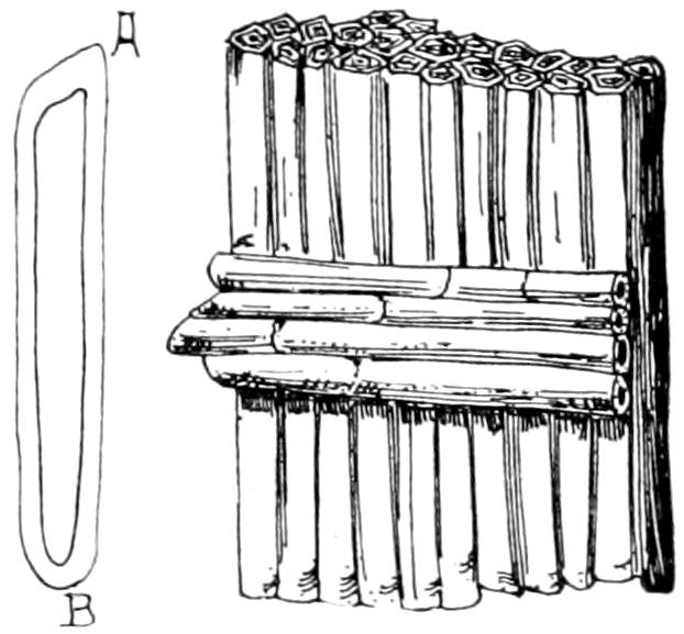 Influence of cell shrinkage