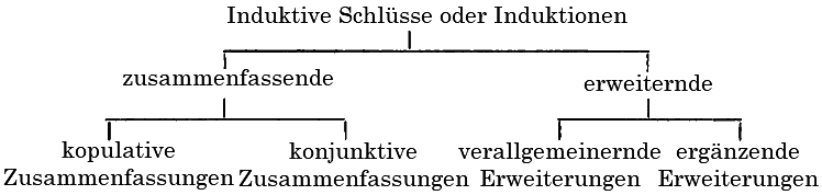 Schema der induktiven Schlüsse