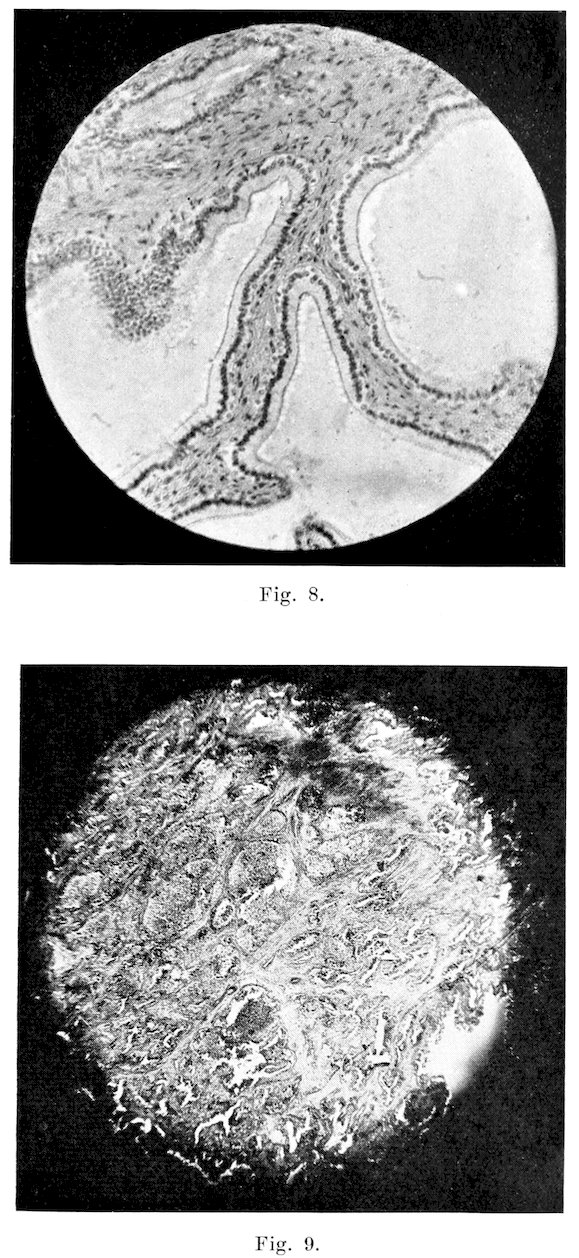 Fig. 8. Fig. 9.