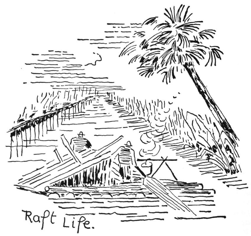 Raft Life.