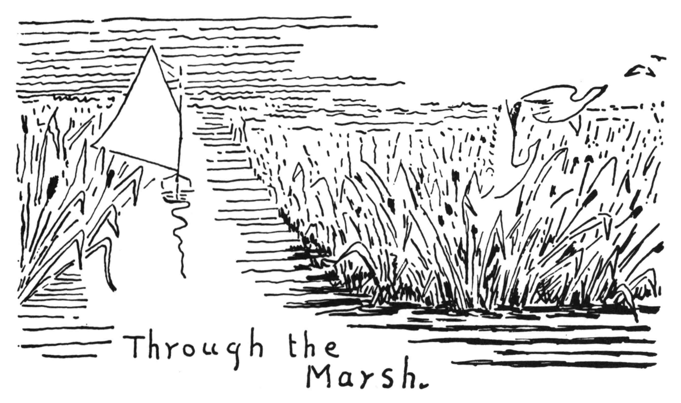 Through the Marsh.