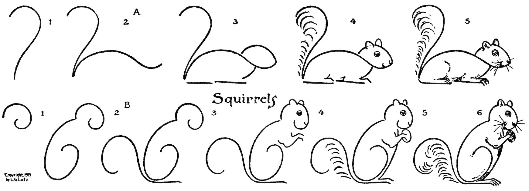 Squirrels