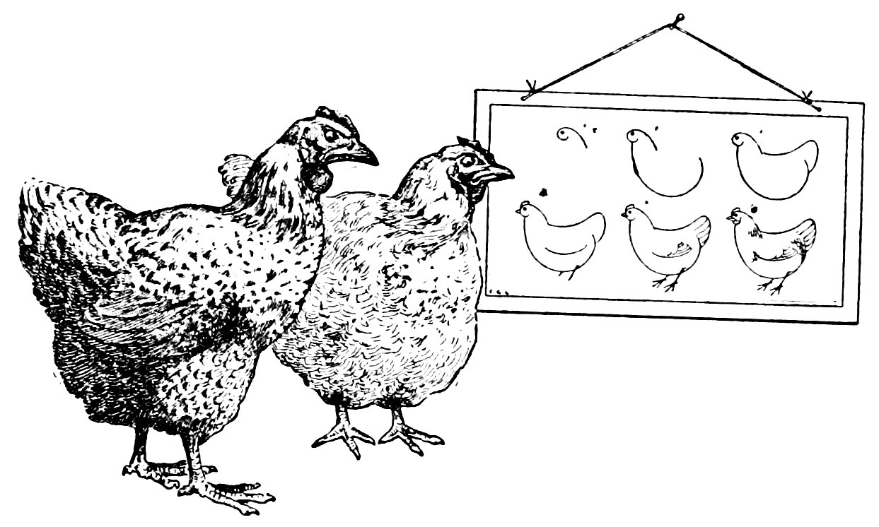 [Chickens]