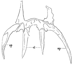 Fig. 67.