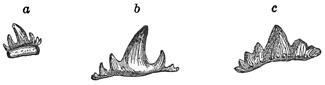 Fig. 87.