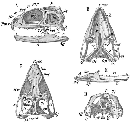 Fig. 318.