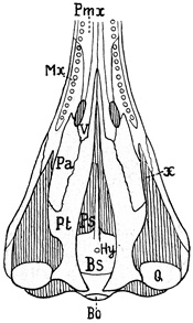 Fig. 363.