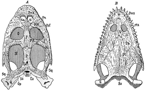 Fig. 378.