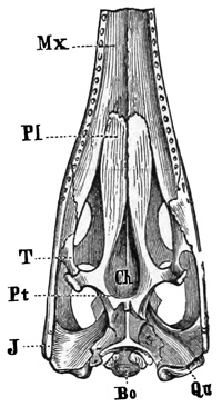 Fig. 408.