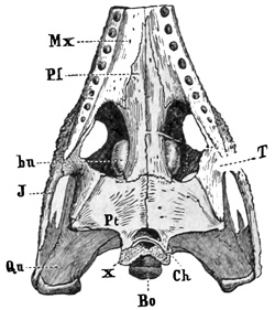 Fig. 409.