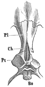 Fig. 418.