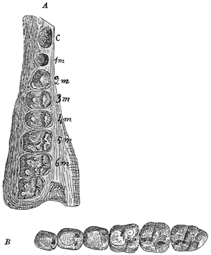 Fig. 606.