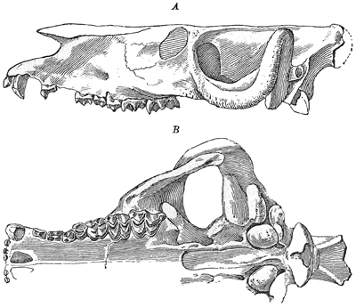 Fig. 675.