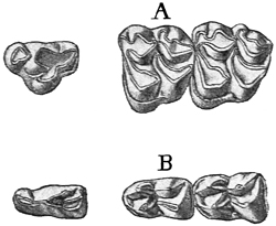 Fig. 679.