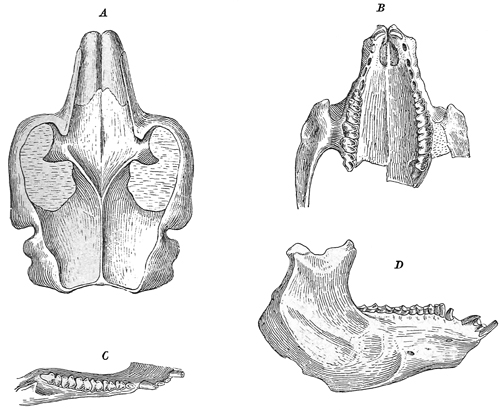 Fig. 710.