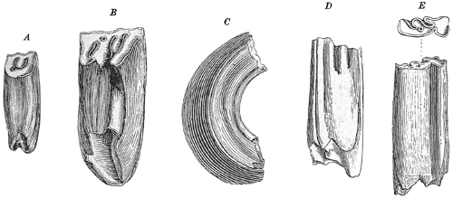 Fig. 715.