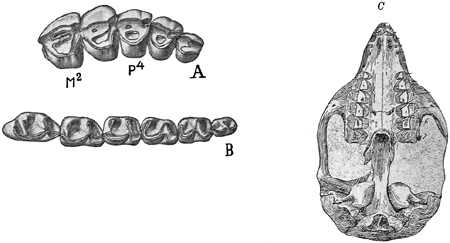 Fig. 716.