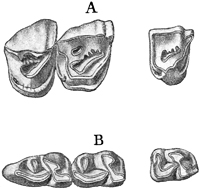 Fig. 717.