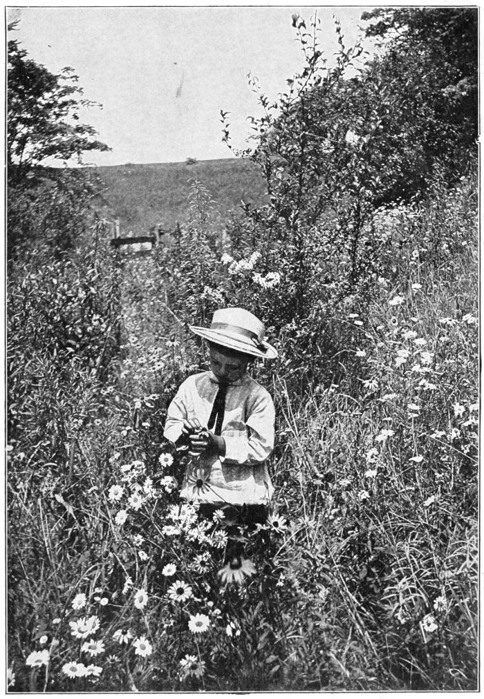 child in meadow